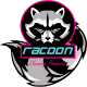 Acheter Racoon à un prix avantageux de Rexbo