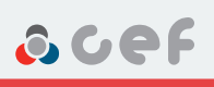 Bremser CEF 514524