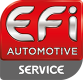 EFI AUTOMOTIVE Faisceau d'allumage