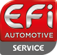 EFI AUTOMOTIVE Sensor Ansauglufttemperatur
