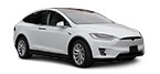 Lagre MODEL X