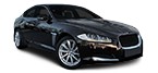 XF