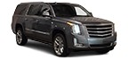 Catalogue of auto parts for ESCALADE cars