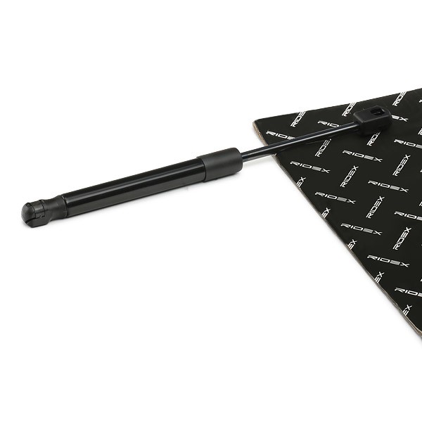 RIDEX Vérin de hayon, de coffre numéro de l'article: 219G1003 à bon prix