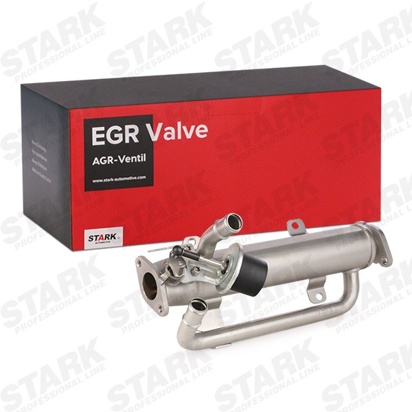 STARK Válvula EGR Número de artículo: SKEGR-0770239 a buen precio