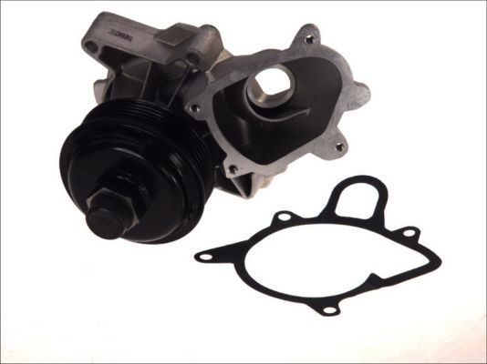 THERMOTEC Water pump Article number: D1B030TT cheaply