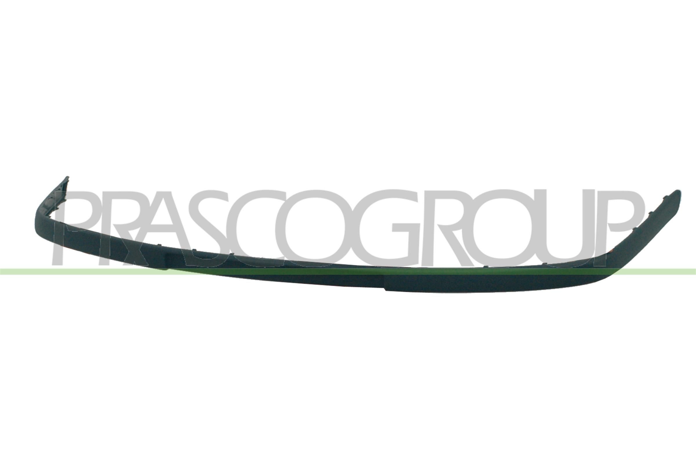 PRASCO Pynte- / vernelist, støtfanger Premium artikkelnummer: SK0221243 billig