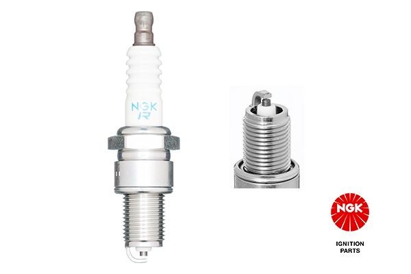 NGK Zündkerze Artikelnummer: 3154 kaufen