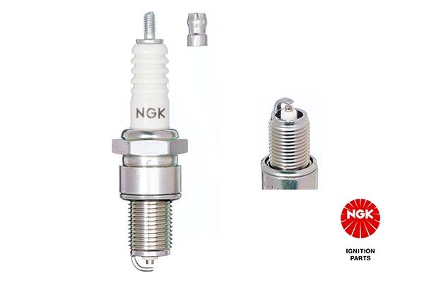 NGK Zündkerze Artikelnummer: 3355 kaufen