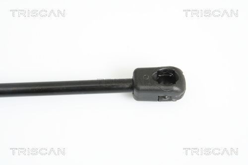 TRISCAN Halter, Bremsschlauch Artikelnummer: 8105 3201 günstig
