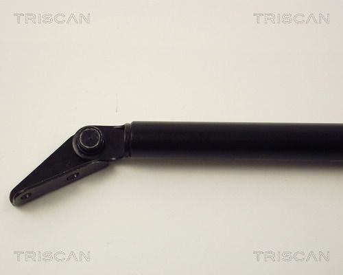 TRISCAN Halter, Bremsschlauch Artikelnummer: 8105 3205 günstig