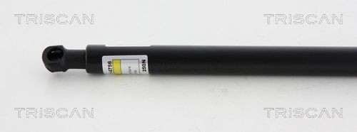 TRISCAN Halter, Bremsschlauch Artikelnummer: 8105 3207 günstig