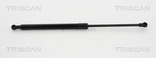 TRISCAN Halter, Bremsschlauch Artikelnummer: 8105 3209 günstig