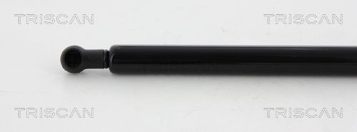 TRISCAN Halter, Bremsschlauch Artikelnummer: 8105 3210 günstig