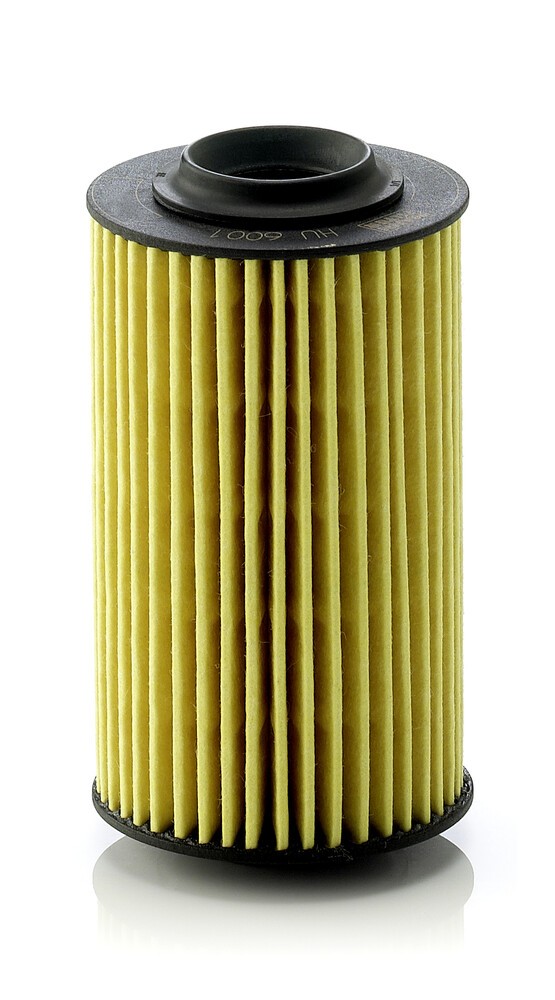 MANN-FILTER Filtre à huile UGS: HU 6001 à peu de frais