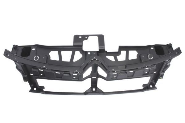 BLIC Support, radiator grille Article number: 6502-07-0538996P cheaply