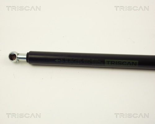 TRISCAN Adapteris, stabdžių žarnelė prekės numeris: 8105 3791 nebrangu