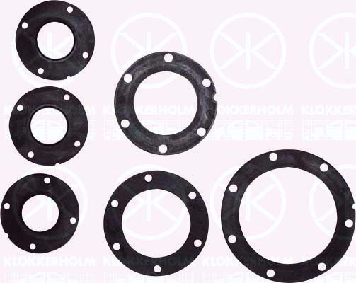 KLOKKERHOLM Junta, sensor de nivel de combustible Número de artículo: 81420092 a buen precio