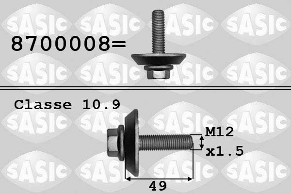 SASIC Riemenscheibenschraube Artikelnummer: 8700008 kaufen
