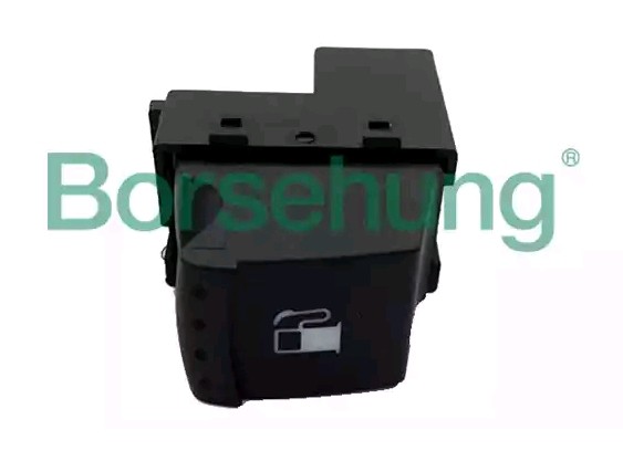 Borsehung Switch, tank cap unlock Article number: B16155 cheaply