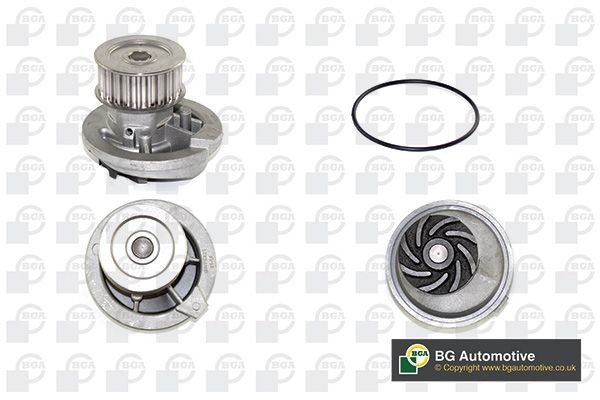 BGA Water pump Article number: CP2894 cheaply
