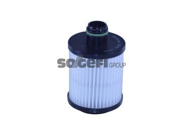 TECNOCAR Filtro olio Numero articolo: OP411 poco costoso