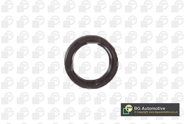 BGA Camshaft seal Article number: OS0319 cheaply