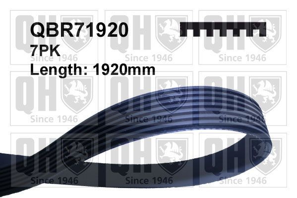 QUINTON HAZELL Soonrihm Artikli number: QBR71920 soodsalt