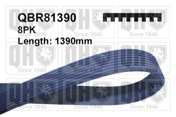 QUINTON HAZELL Soonrihm Artikli number: QBR81390 soodsalt