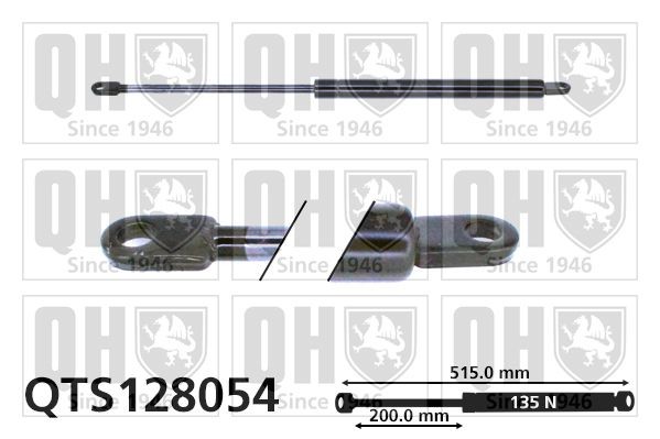 QUINTON HAZELL Tailgate strut Article number: QTS128054 cheaply