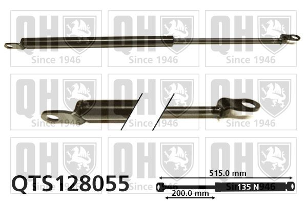 QUINTON HAZELL Tailgate strut Article number: QTS128055 cheaply