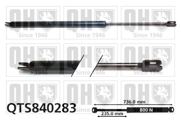 QUINTON HAZELL Tailgate strut Article number: QTS840283 cheaply