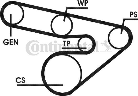 CONTITECH Keilrippenriemensatz Artikelnummer: 6PK1800D1 kaufen