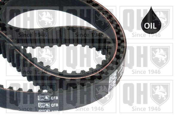 QUINTON HAZELL Timing Belt Article number: QTB810 cheaply