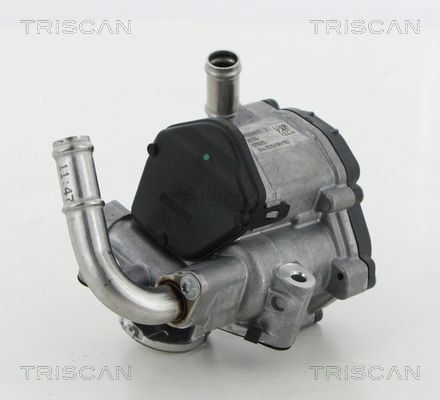 TRISCAN EGR valve Article number: 8813 29069 cheaply