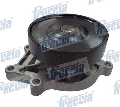FRECCIA Water pump Article number: WP0491 cheaply