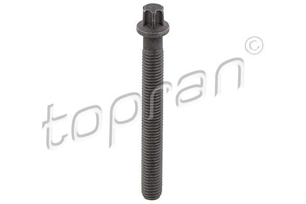 TOPRAN Pulley Bolt Article number: 503 132 cheaply