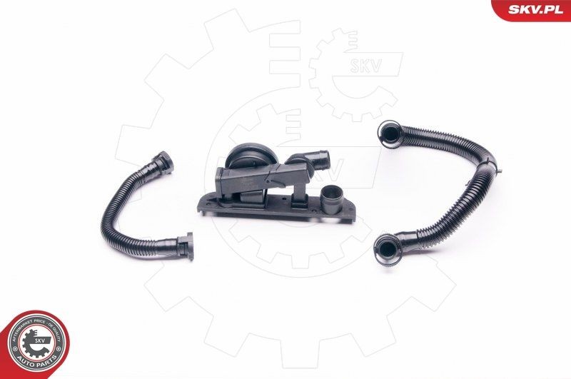 ESEN SKV Set reparatie, aerisire baie ulei număr articol: 31SKV003 ieftin