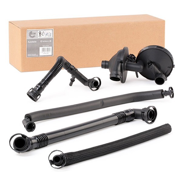 ESEN SKV Set reparatie, aerisire baie ulei număr articol: 31SKV040 ieftin