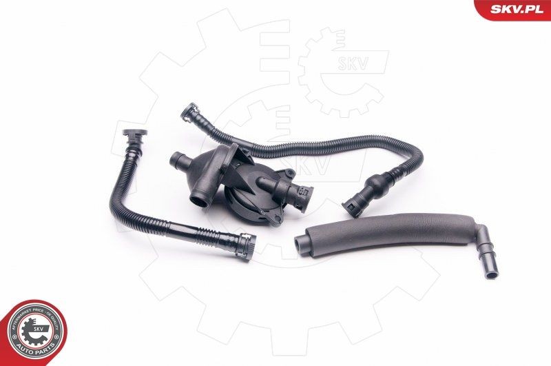 ESEN SKV Set reparatie, aerisire baie ulei număr articol: 31SKV042 ieftin