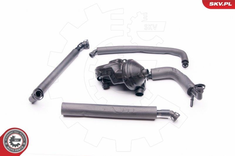 ESEN SKV Set reparatie, aerisire baie ulei număr articol: 31SKV045 ieftin