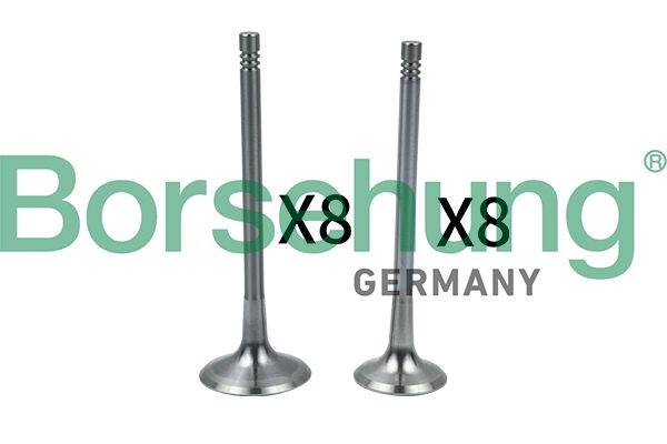 Borsehung Ventilsatz, Einlass-/Auslassventil Artikelnummer: B18634 kaufen