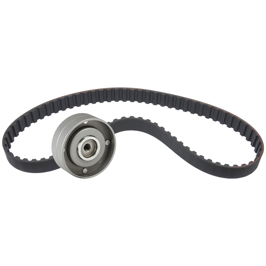 RIDEX Timing belt kit Article number: 307T0217 cheaply
