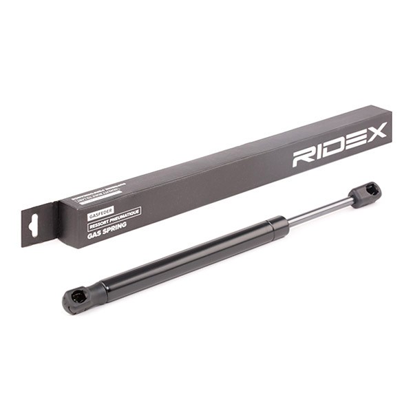 RIDEX Газов амортисьор, багажно / товарно пространство артикулен номер: 219G0435 евтино