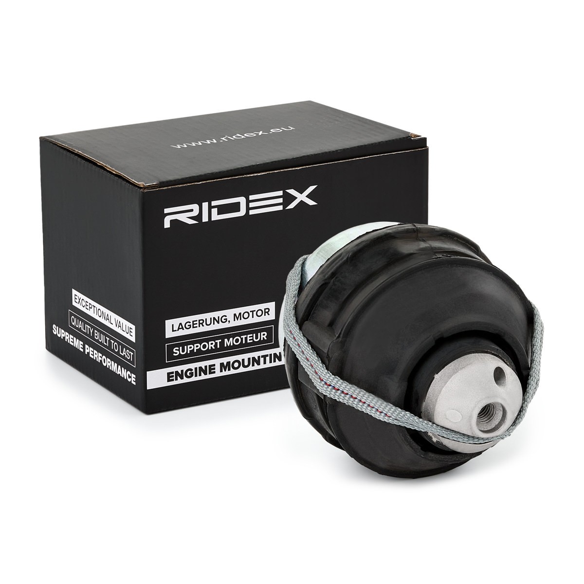 RIDEX Variklio montavimas prekės numeris: 247E0123 nebrangu
