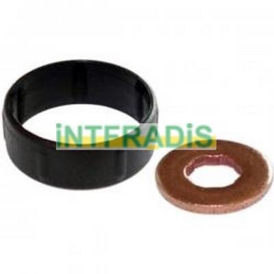 INTFRADIS Seal Kit, injector nozzle Article number: 10126 cheaply