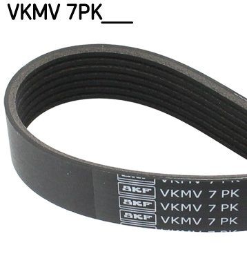 SKF Serpentine belt Article number: VKMV 7PK1115 cheaply