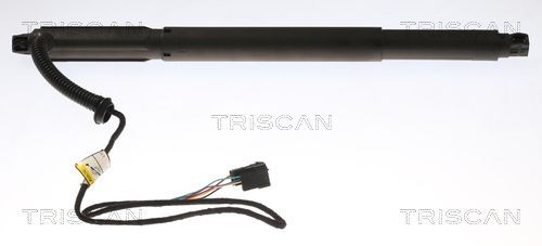TRISCAN Kaasujousi, tavaratila tuotenumero: 8710 11301 edullisesti