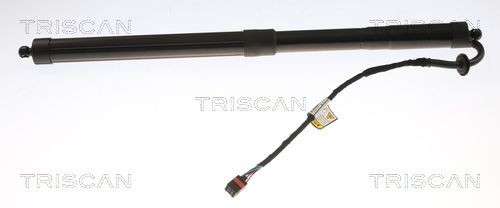 TRISCAN Tailgate strut Article number: 8710 17303 cheaply