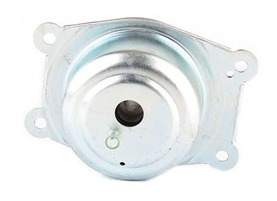 BSG Tetning, drivstoff filter artikkelnummer: BSG 70-130-005 billig